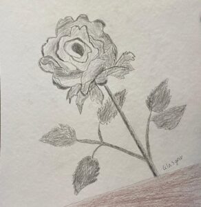 flower drawing