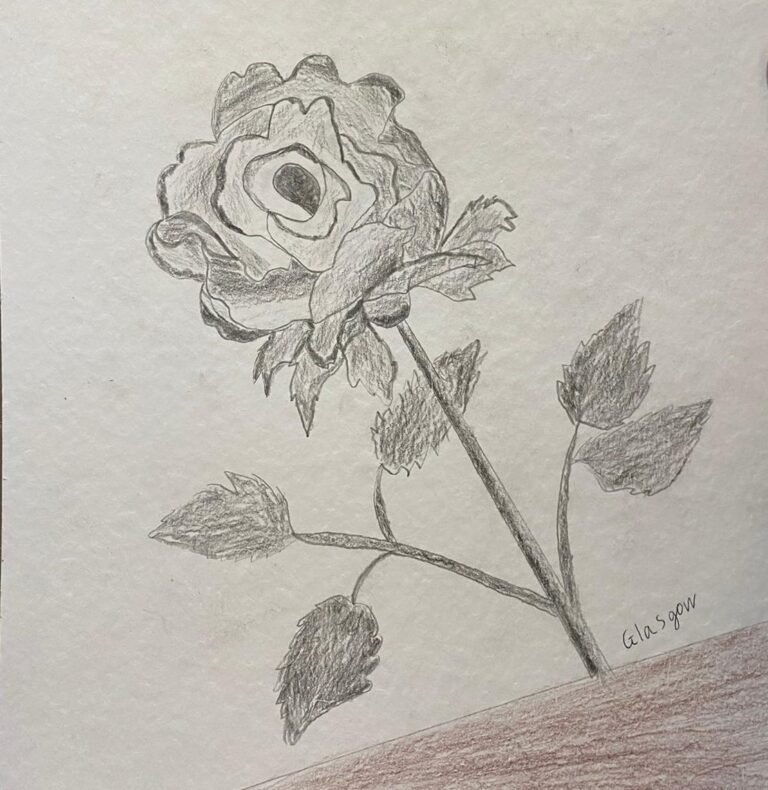 Photo Gallery flower drawing (1)
