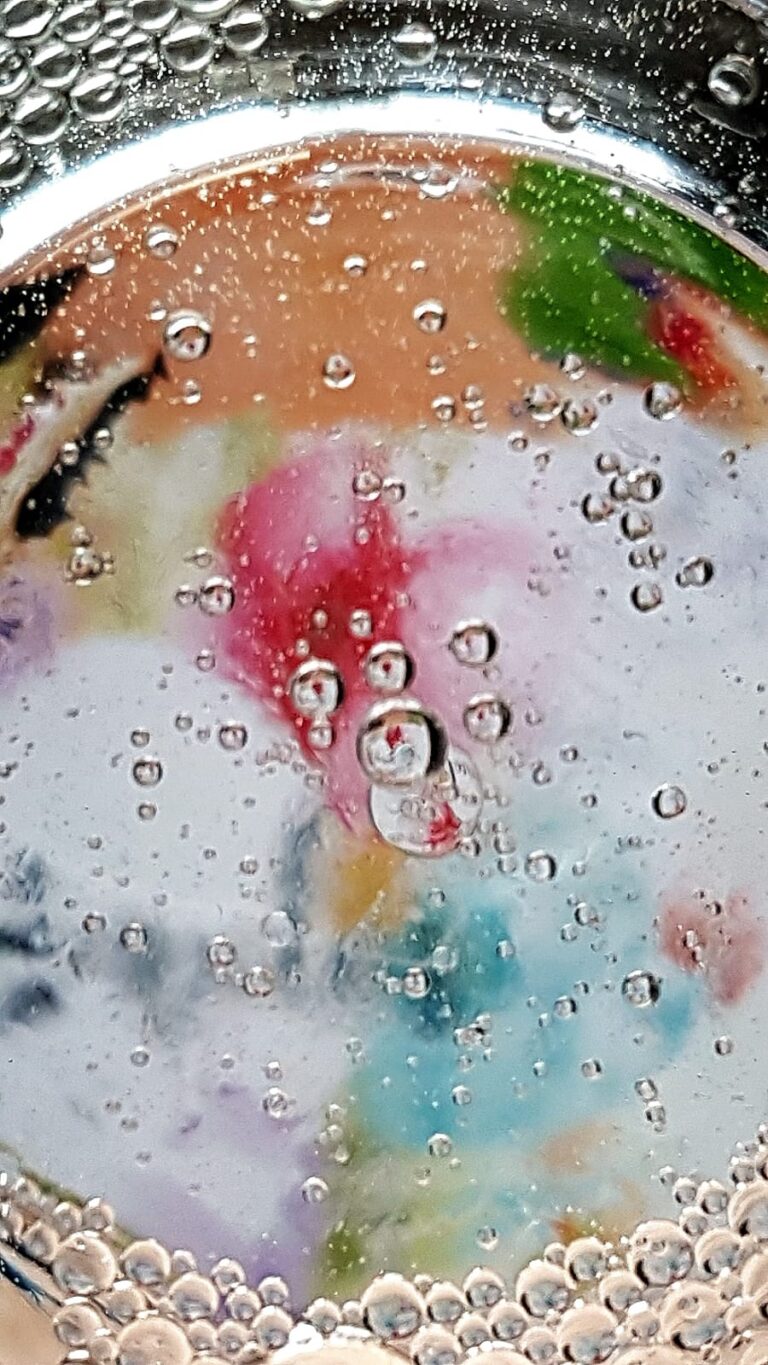 Photo Gallery Life Under Water